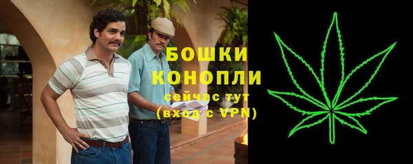 прущие грибы Балабаново