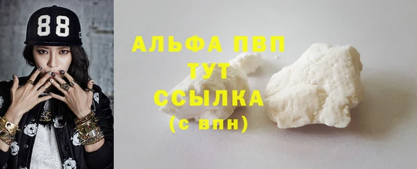 прущие грибы Балабаново